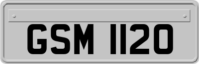 GSM1120