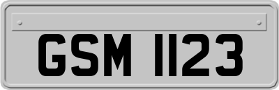 GSM1123