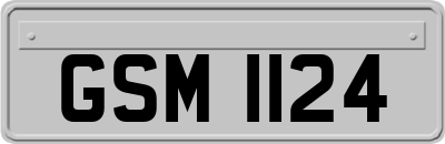 GSM1124