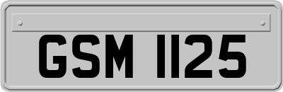 GSM1125
