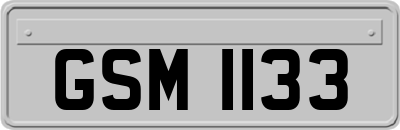 GSM1133