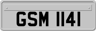 GSM1141