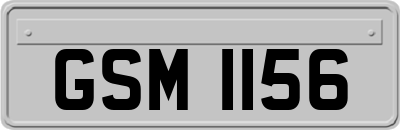 GSM1156