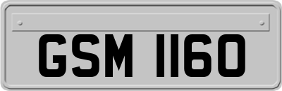 GSM1160