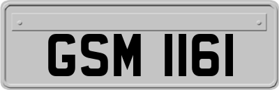 GSM1161