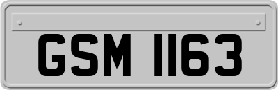 GSM1163