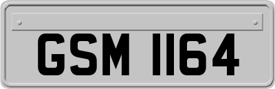 GSM1164