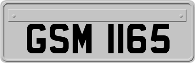 GSM1165