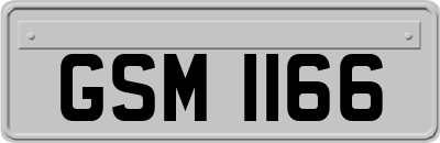 GSM1166