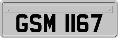GSM1167