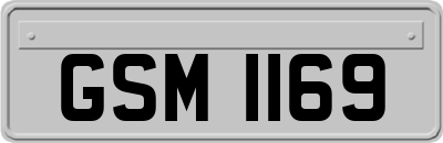 GSM1169