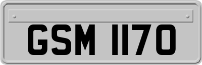 GSM1170