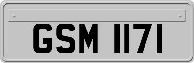 GSM1171