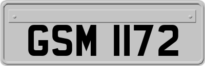 GSM1172
