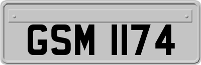 GSM1174
