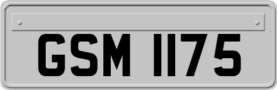 GSM1175