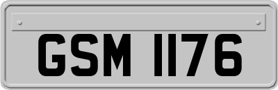 GSM1176
