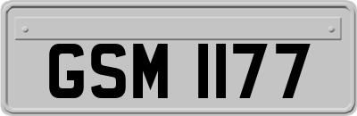 GSM1177