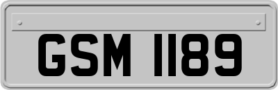 GSM1189