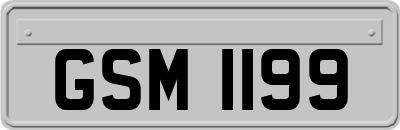 GSM1199