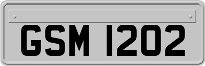 GSM1202