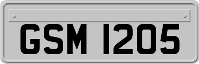 GSM1205