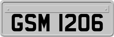 GSM1206