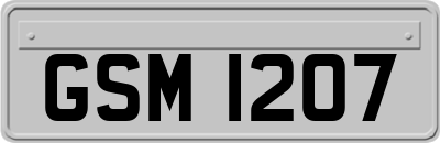 GSM1207