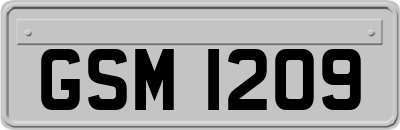 GSM1209