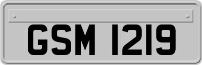 GSM1219