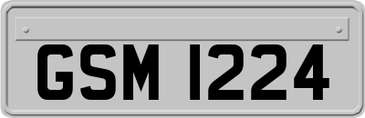 GSM1224