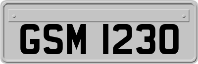 GSM1230