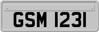 GSM1231