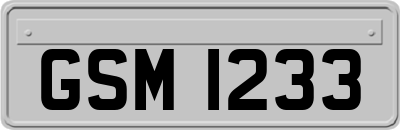 GSM1233