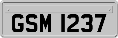 GSM1237