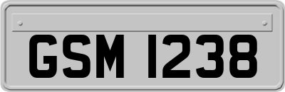 GSM1238