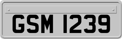 GSM1239