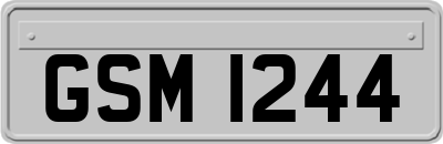 GSM1244