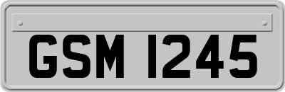 GSM1245