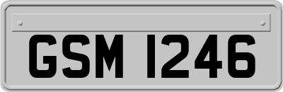 GSM1246