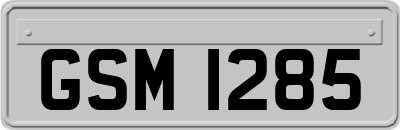 GSM1285
