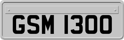 GSM1300