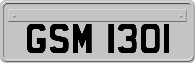 GSM1301