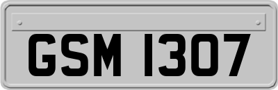 GSM1307