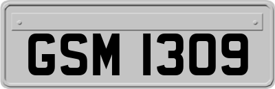 GSM1309