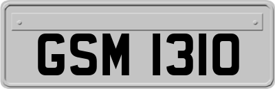 GSM1310