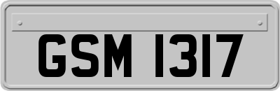 GSM1317