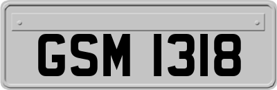 GSM1318