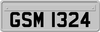 GSM1324