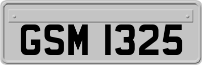 GSM1325